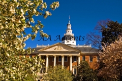 MARYLAND STATE CAPITOL23