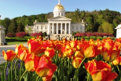 VERMONT STATE HOUSE55